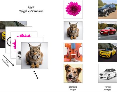 AMBER: advancing multimodal brain-computer interfaces for enhanced robustness—A dataset for naturalistic settings